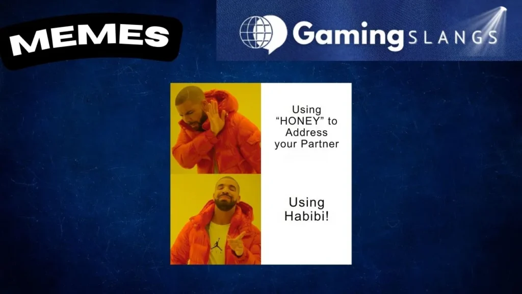 Drake's Habibi Preference Meme Picture