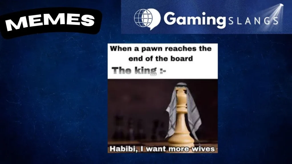 Habibi Chess Meme Picture