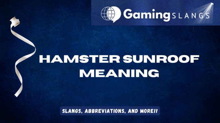 Featured Image hamster sunroof meaning