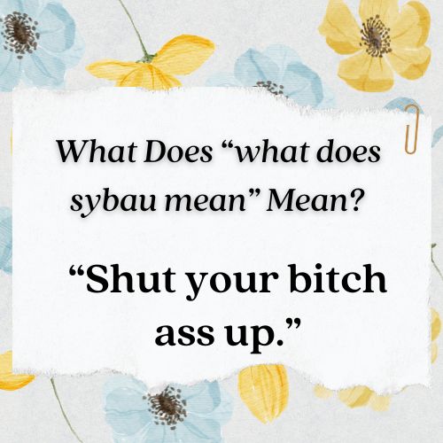 the mean of sybau