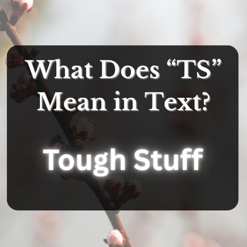 The Meaning of TS