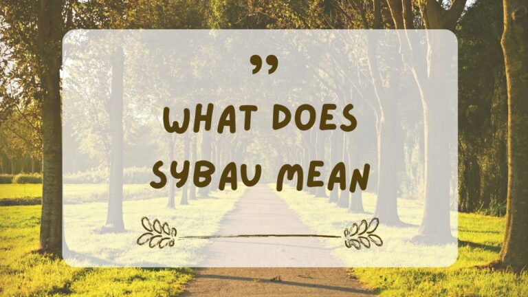 what is sybau mean