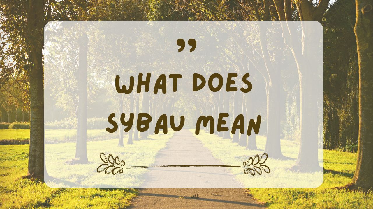 what is sybau mean