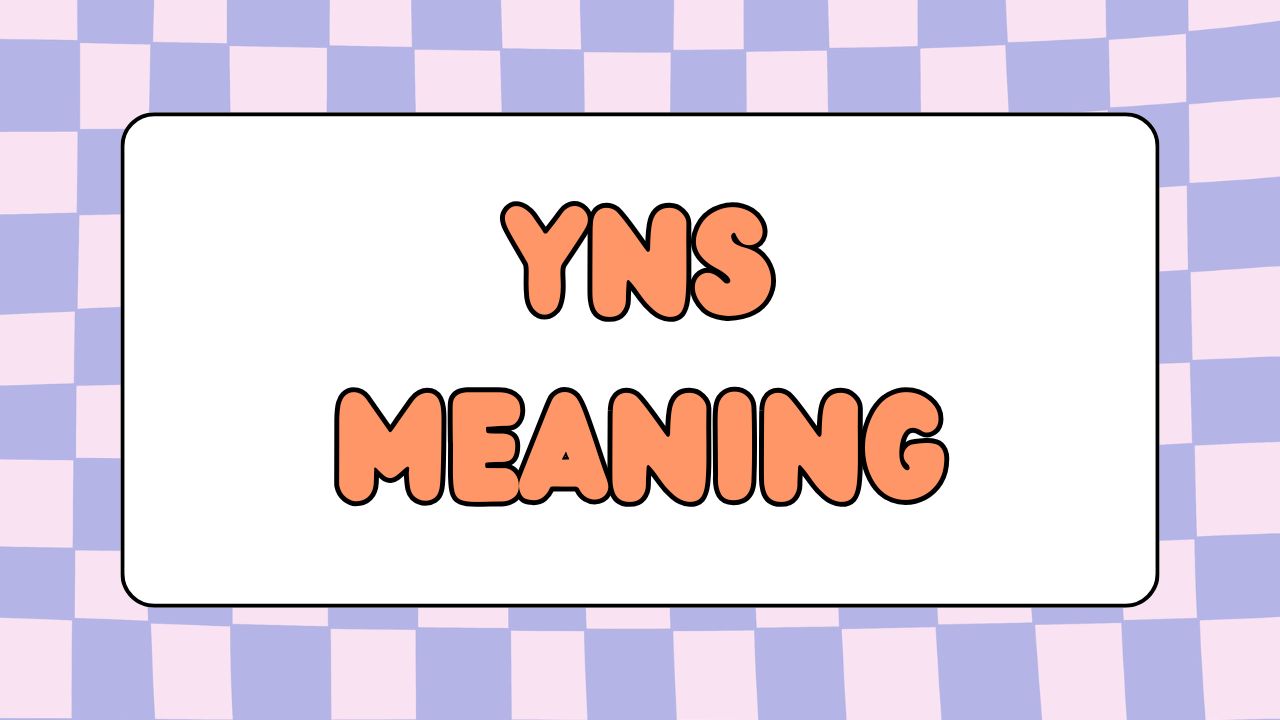 what is yns meaning